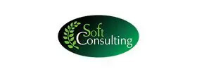 soft-consulting